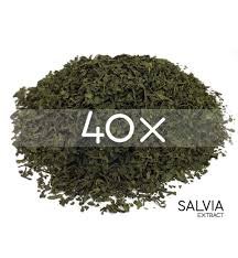 Extracto de salvia 40X