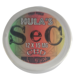 Ponche de frutas de SeC Hula